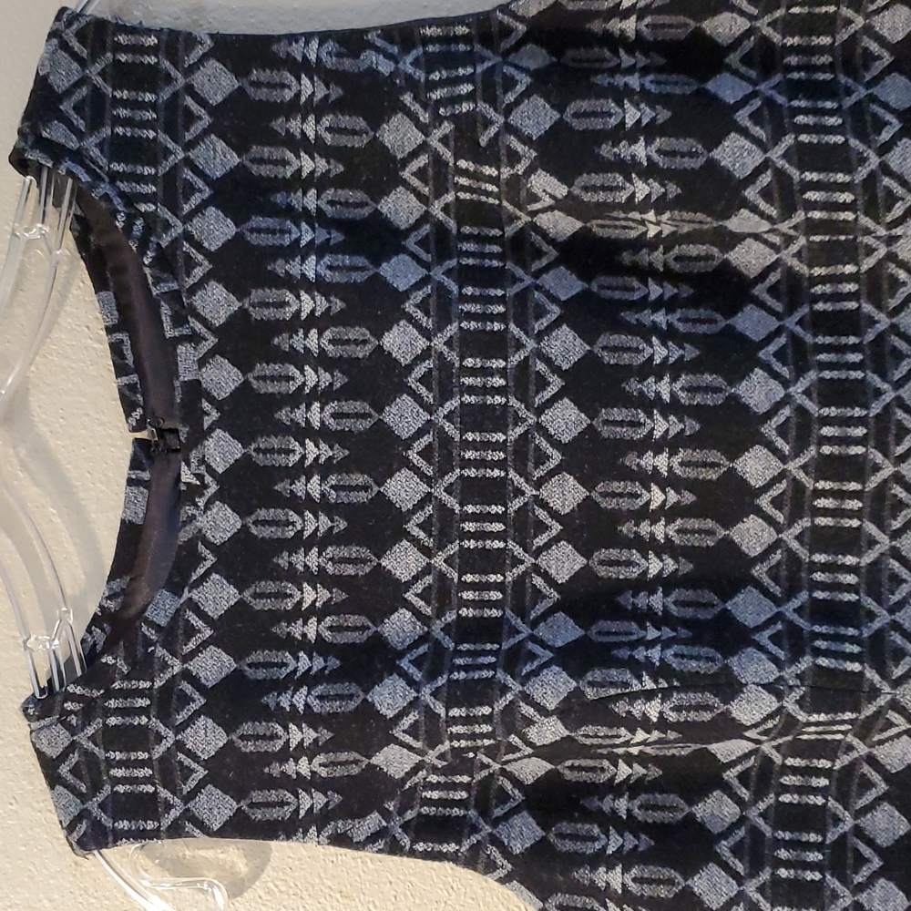 Pendleton Virgin Wool Sheath - image 2